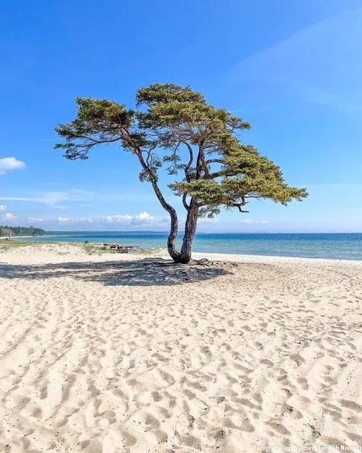 Hyresbostad på Åhus i ahus
