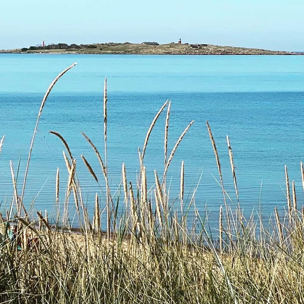 Hyresbostad på Halmstad i halmstad