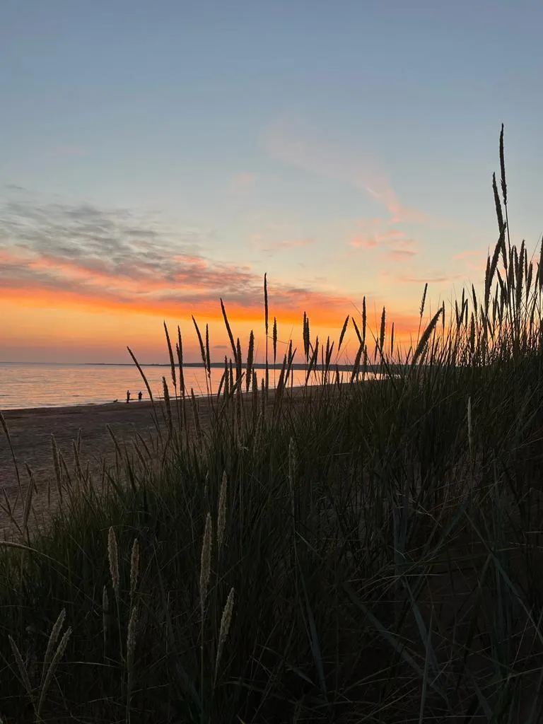 Hyresbostad på Halmstad i halmstad