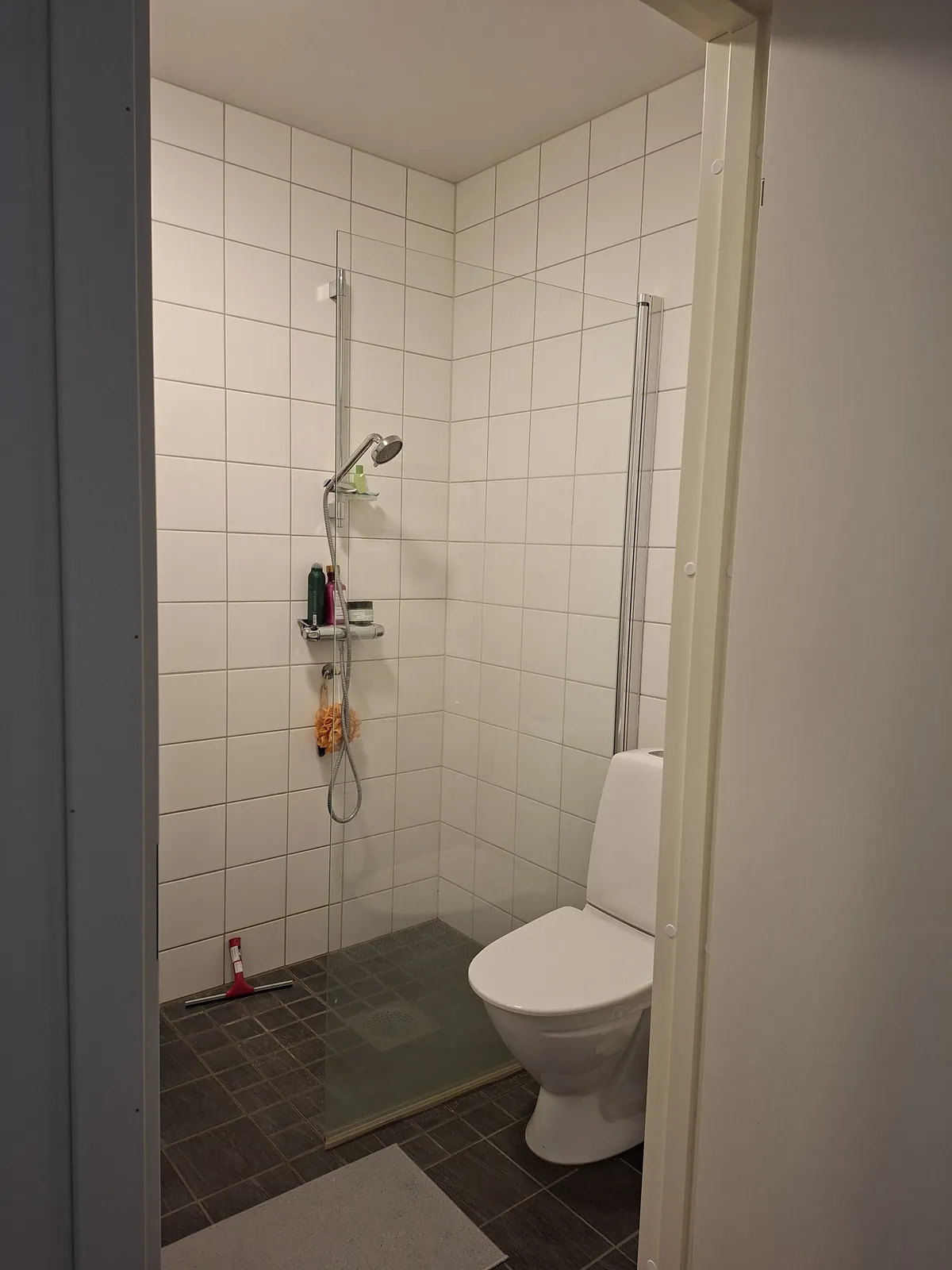 Hyreslägenhet på Helsingborg i helsingborg