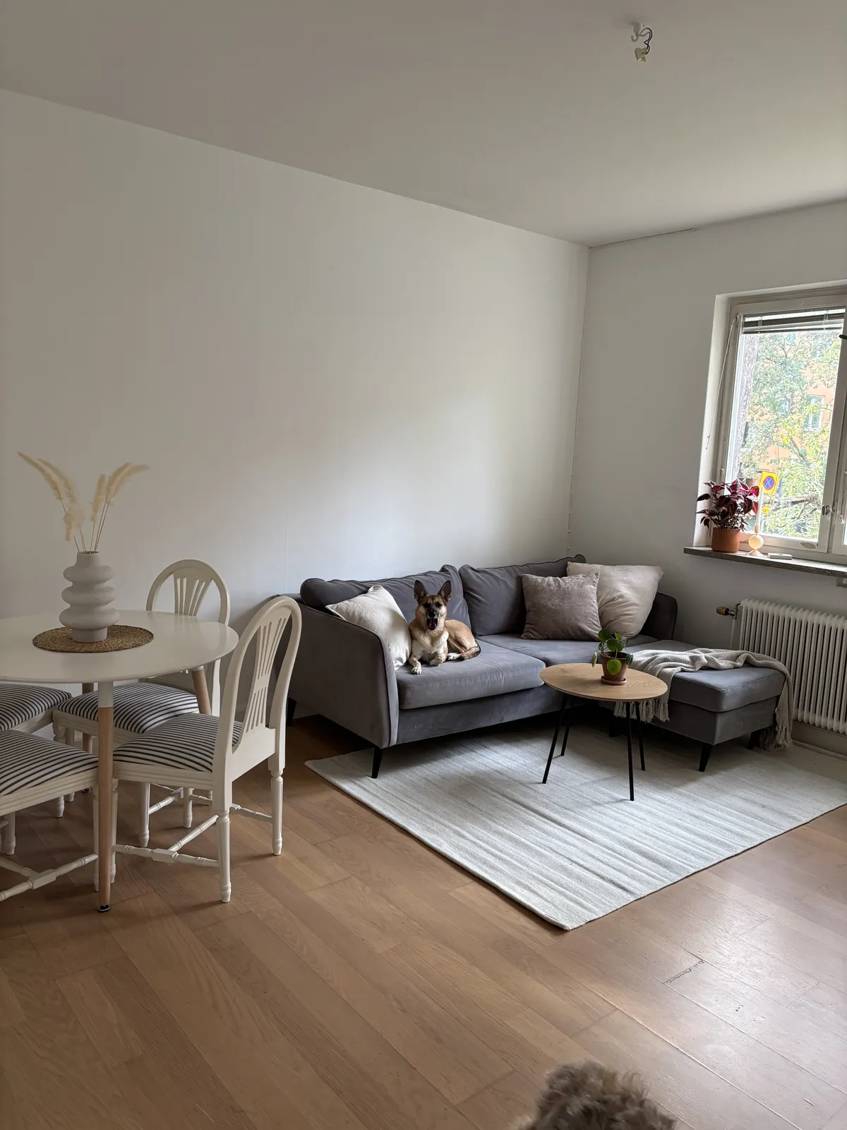 Hyreslägenhet på Hägersten i hagersten