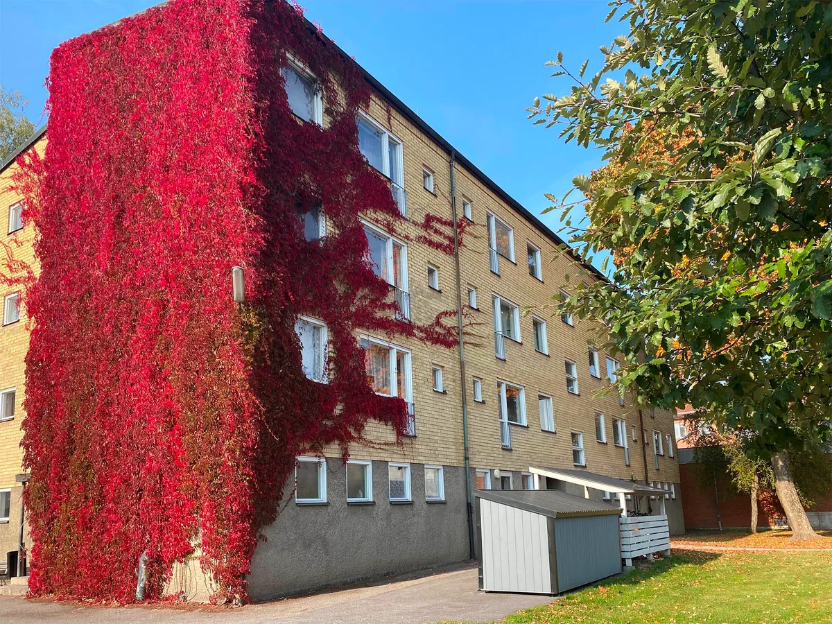 Hyreslägenhet på Sandviken i sandviken