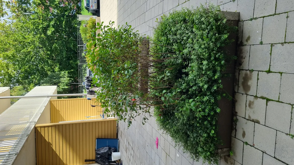 Hyreslägenhet på Vallentuna i vallentuna