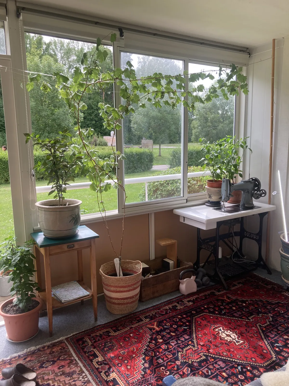 Hyreslägenhet på Nyköping i nykoping