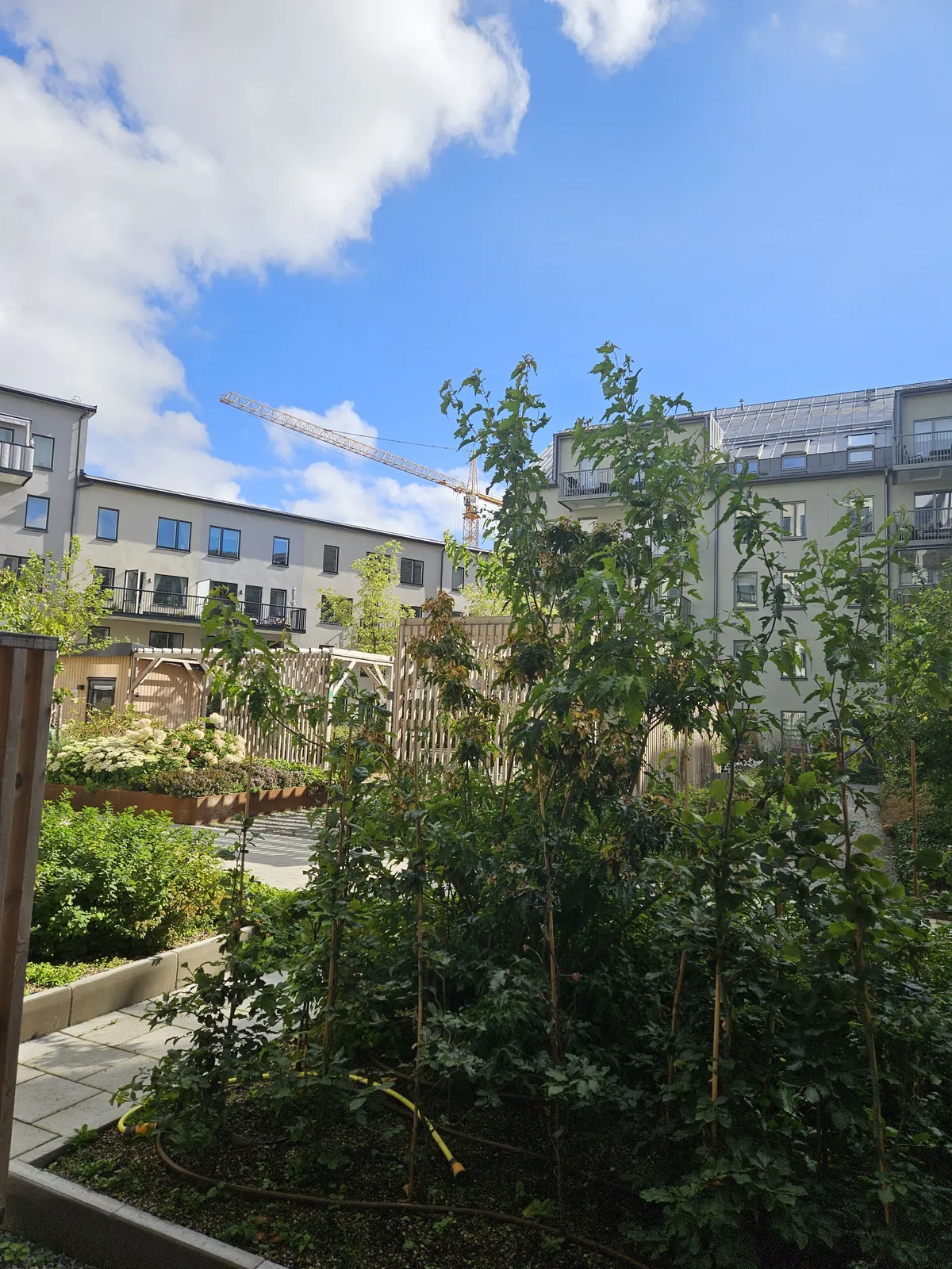 Hyresbostad på Täby i taby