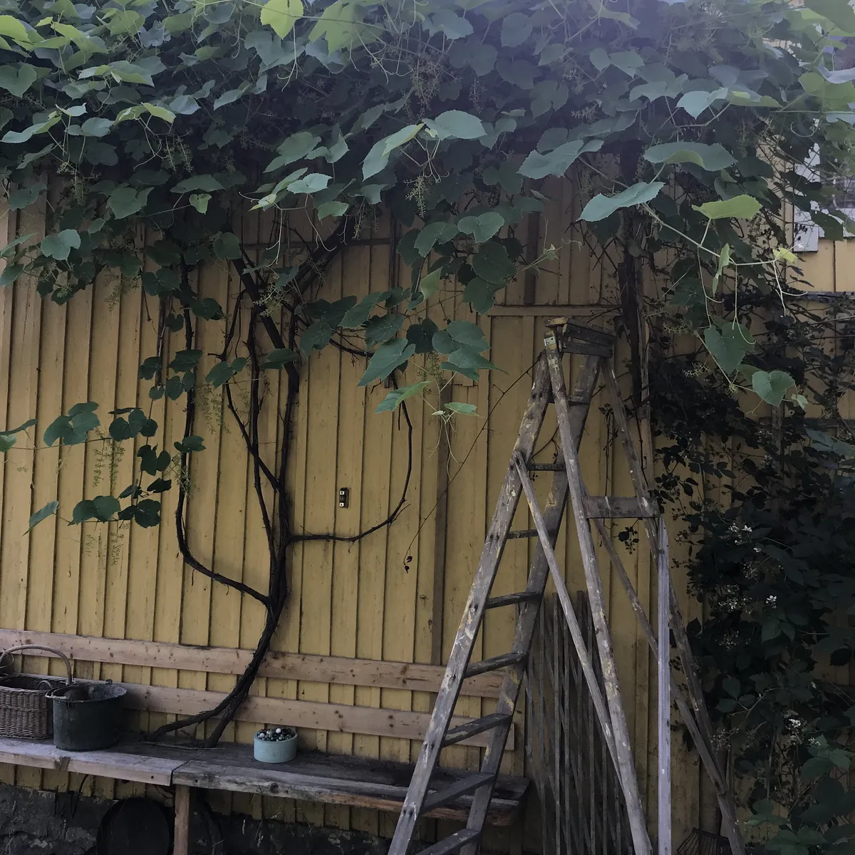 Hyreslägenhet på Gnesta i gnesta