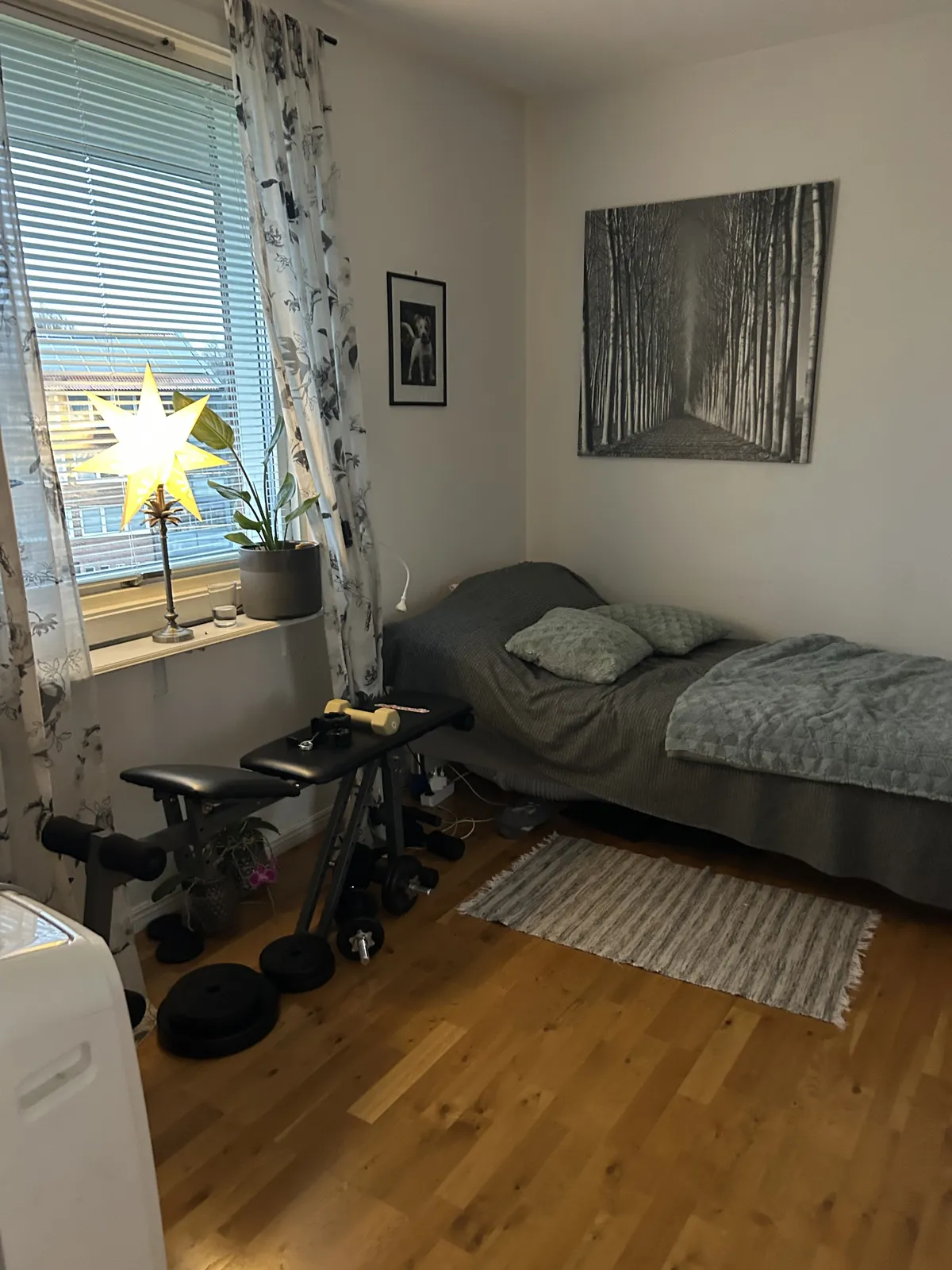 Hyreslägenhet på Halmstad i halmstad