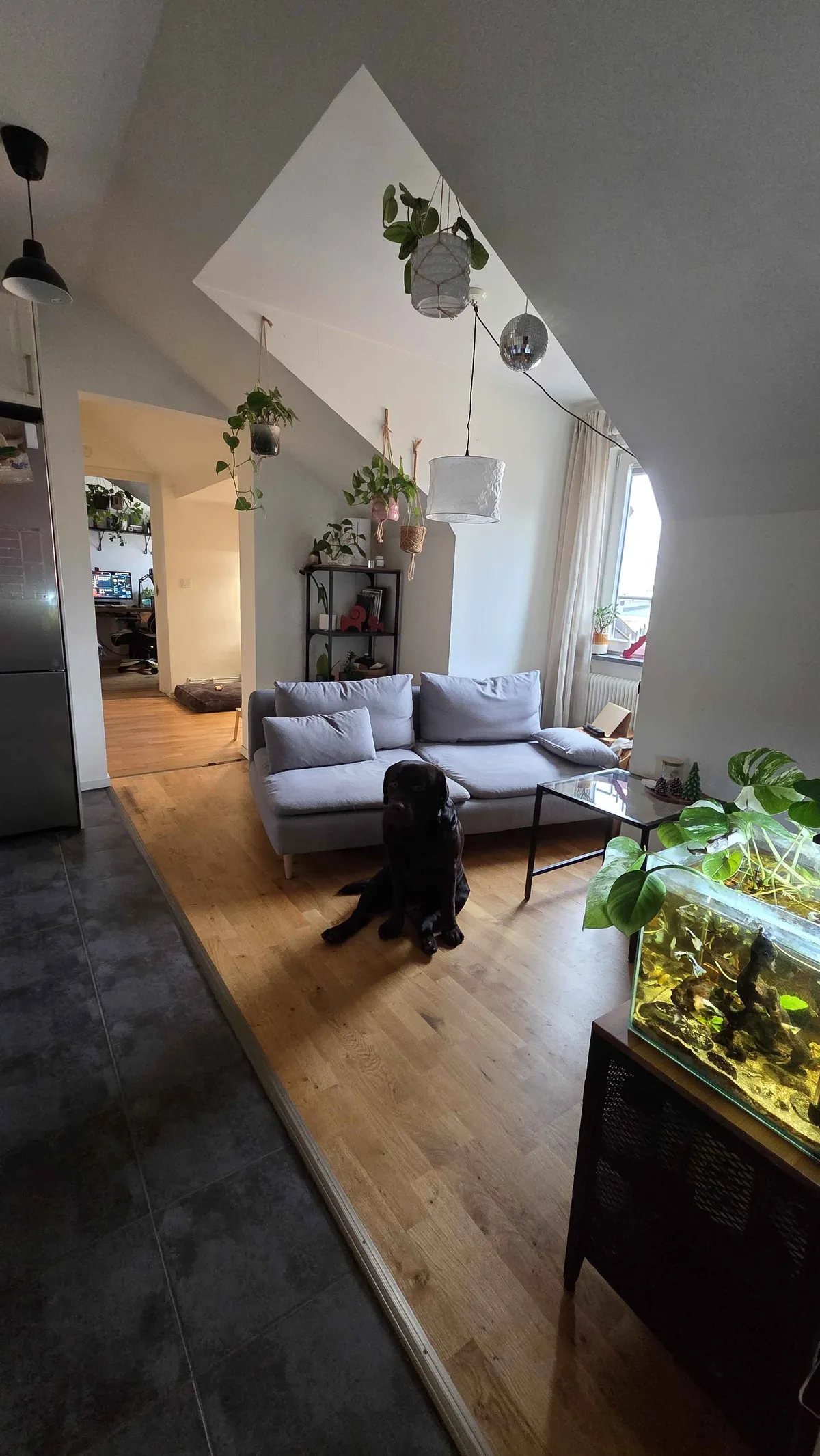 Hyreslägenhet på Trelleborg i trelleborg