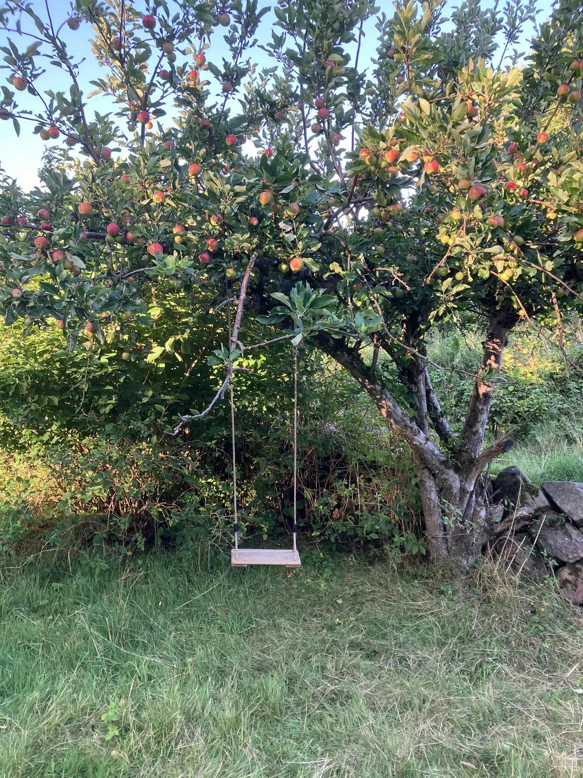 Hyreslägenhet på Kristianstad i kristianstad