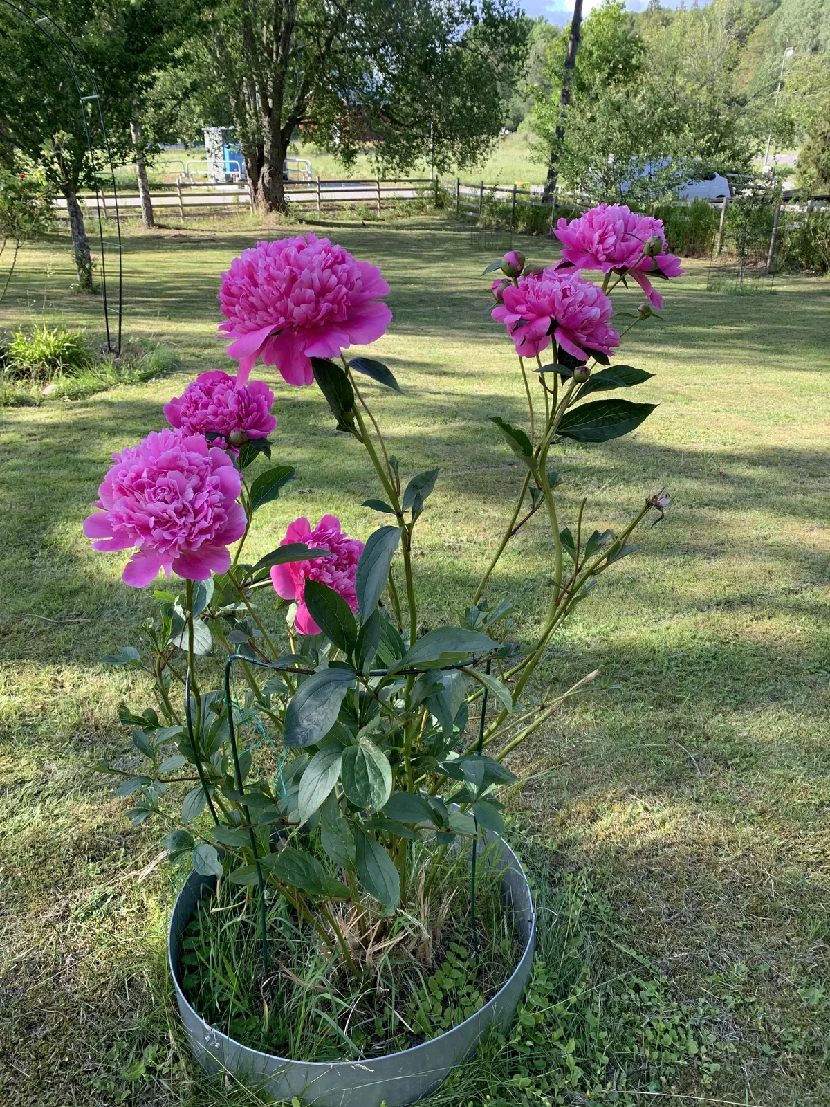 Hyresbostad på Farsta i farsta