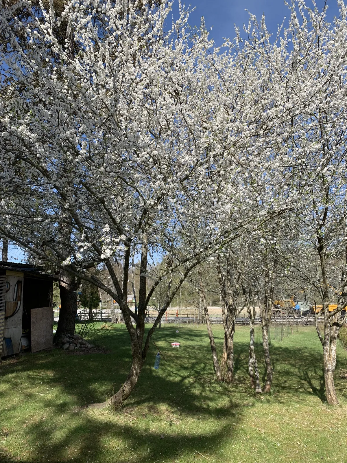 Hyresbostad på Farsta i farsta