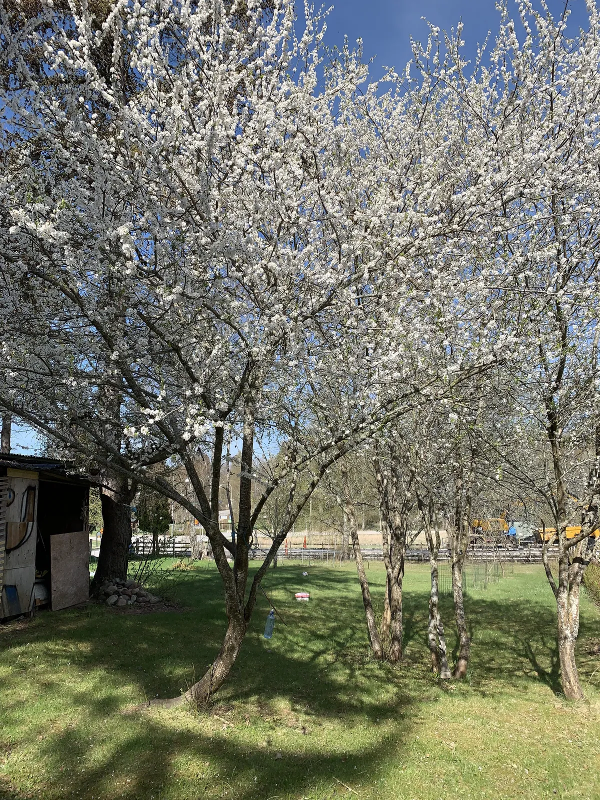 Hyresbostad på Farsta i farsta