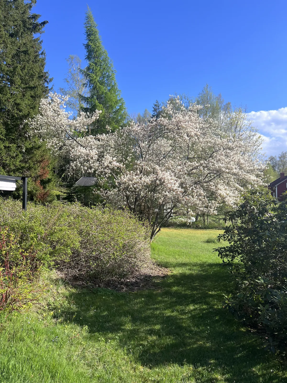 Hyresbostad på Åmål i amal