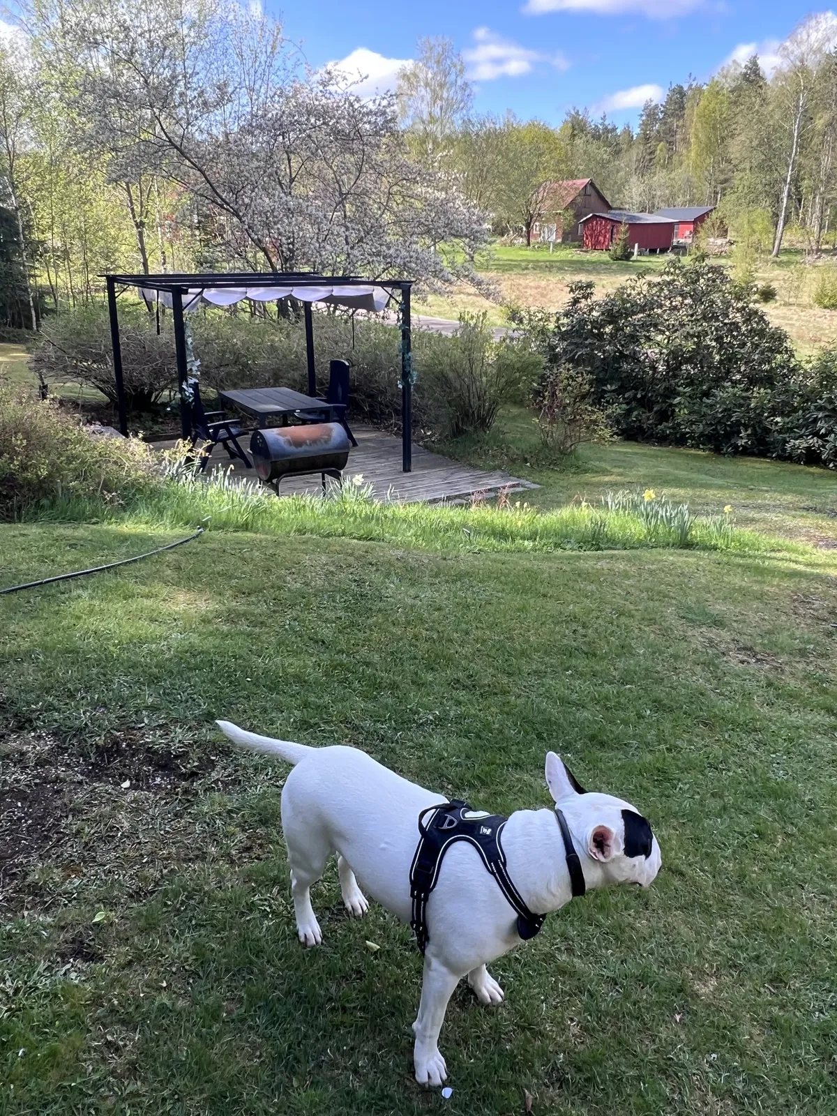 Hyresbostad på Åmål i amal