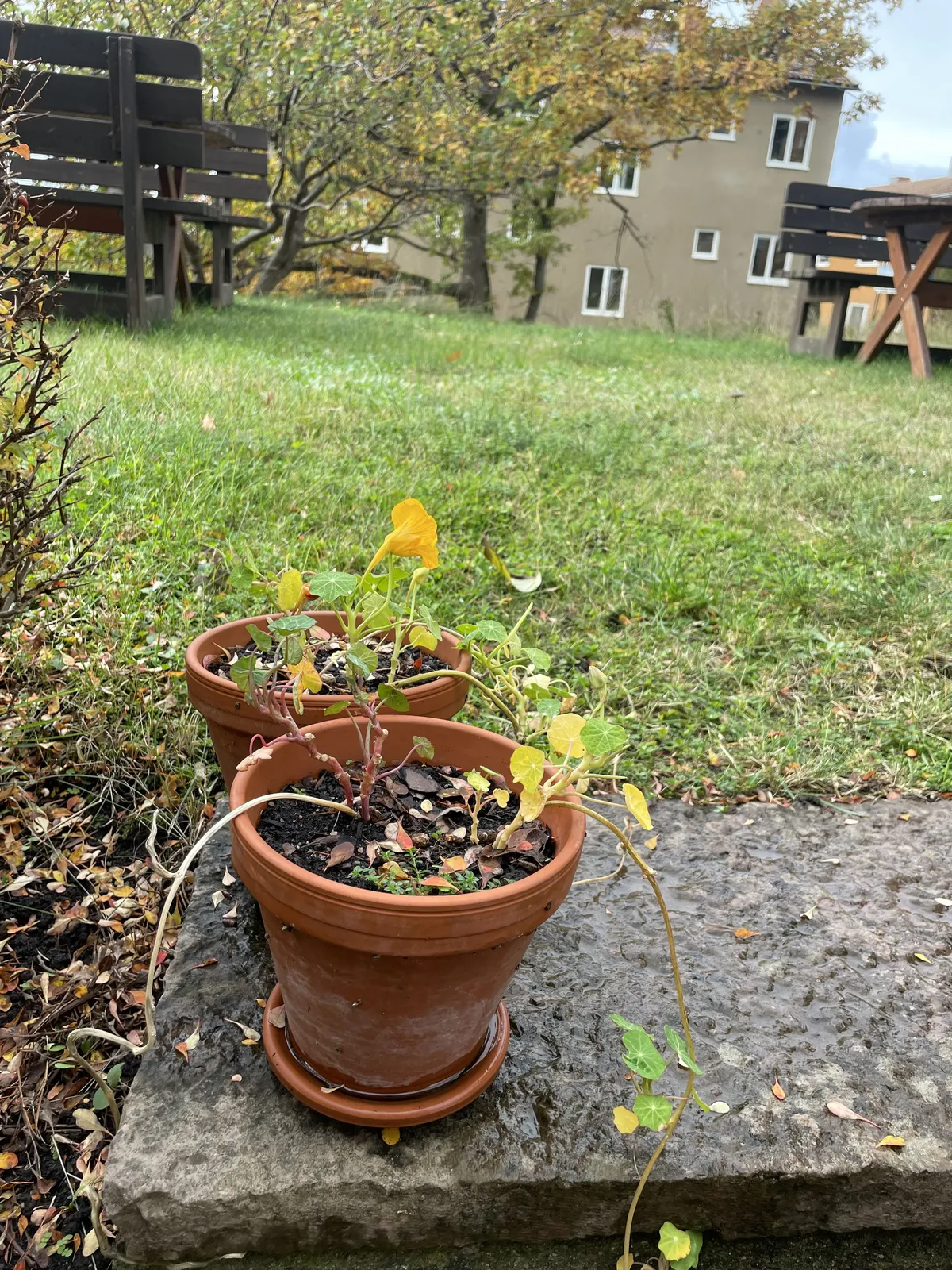 Hyreslägenhet på Nacka i nacka