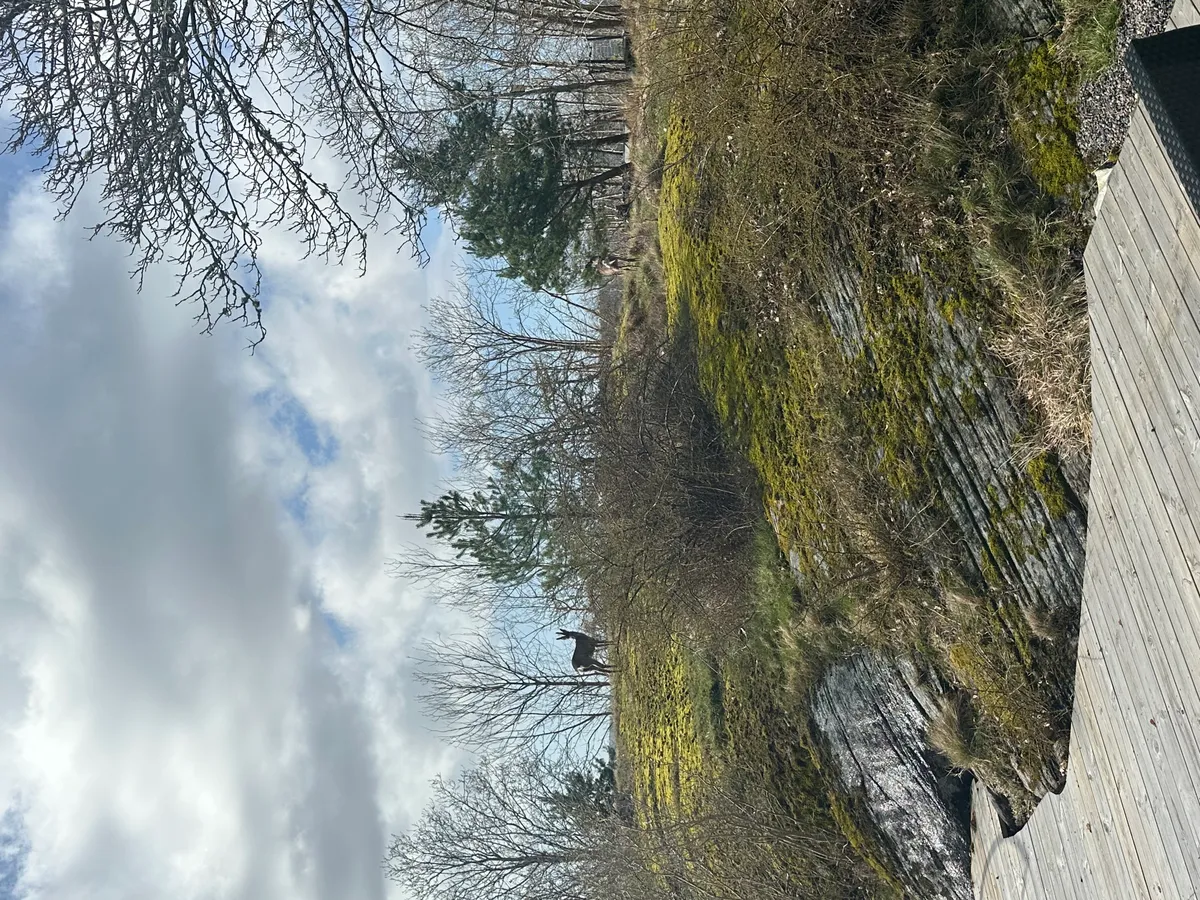 Hyresbostad på Mölndal i molndal