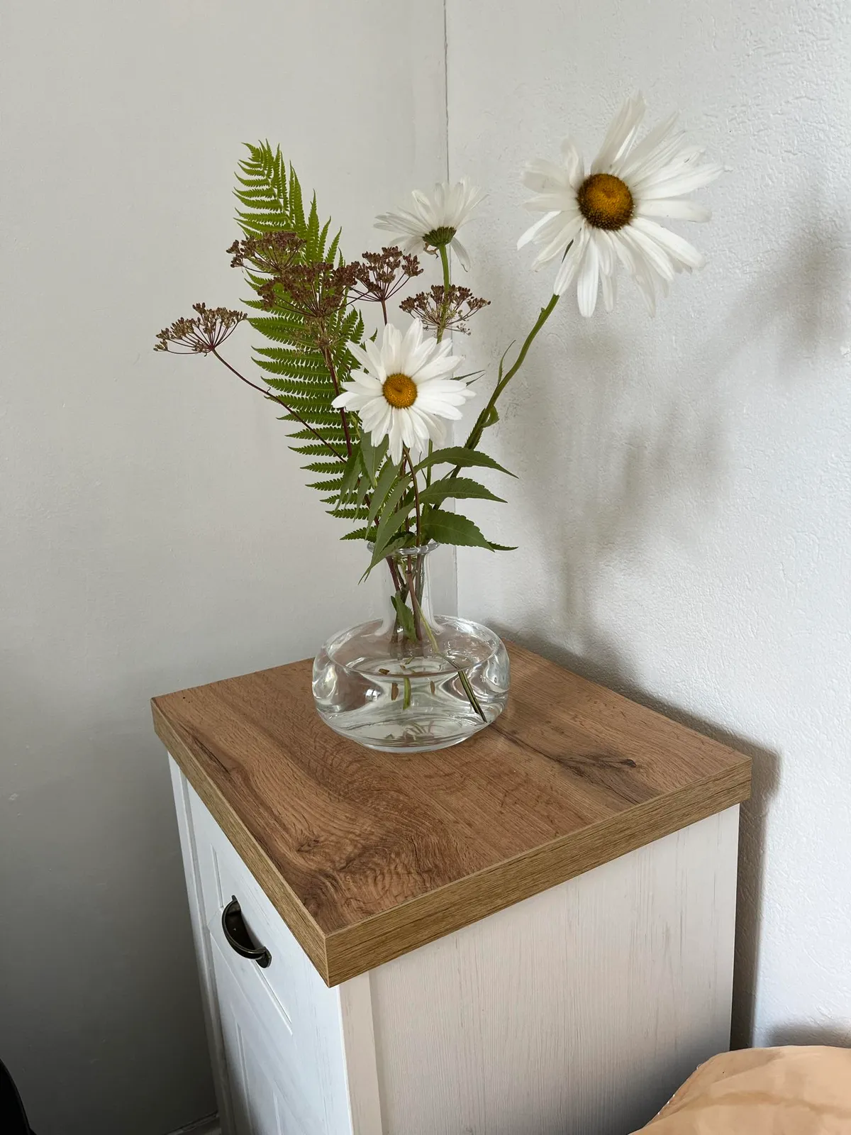 Hyreslägenhet på Lomma i lomma