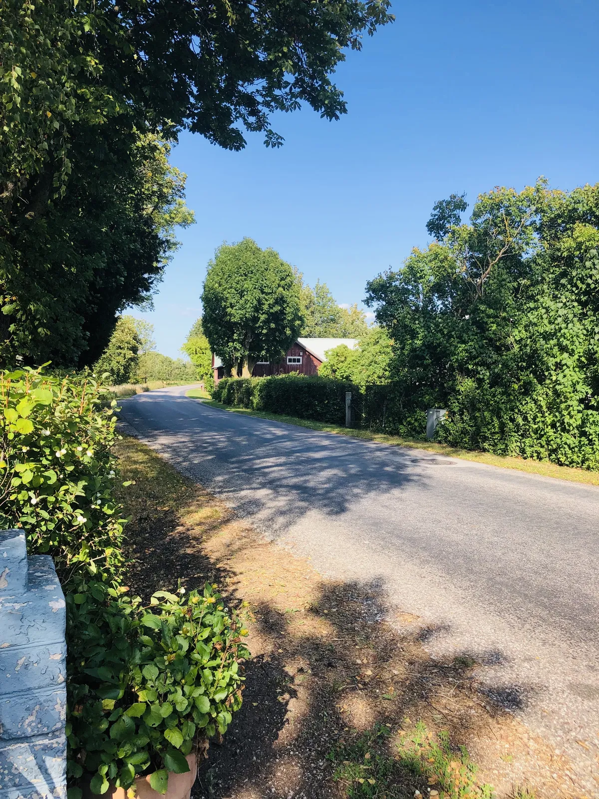 Hyreslägenhet på Gotlands Tofta i gotlands-tofta