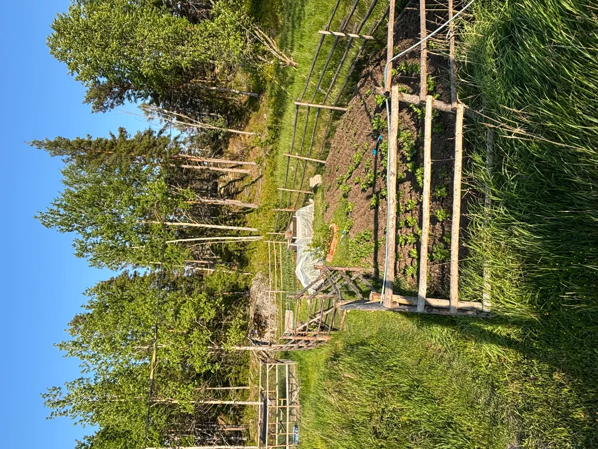 Hyreslägenhet på Ornö i orno