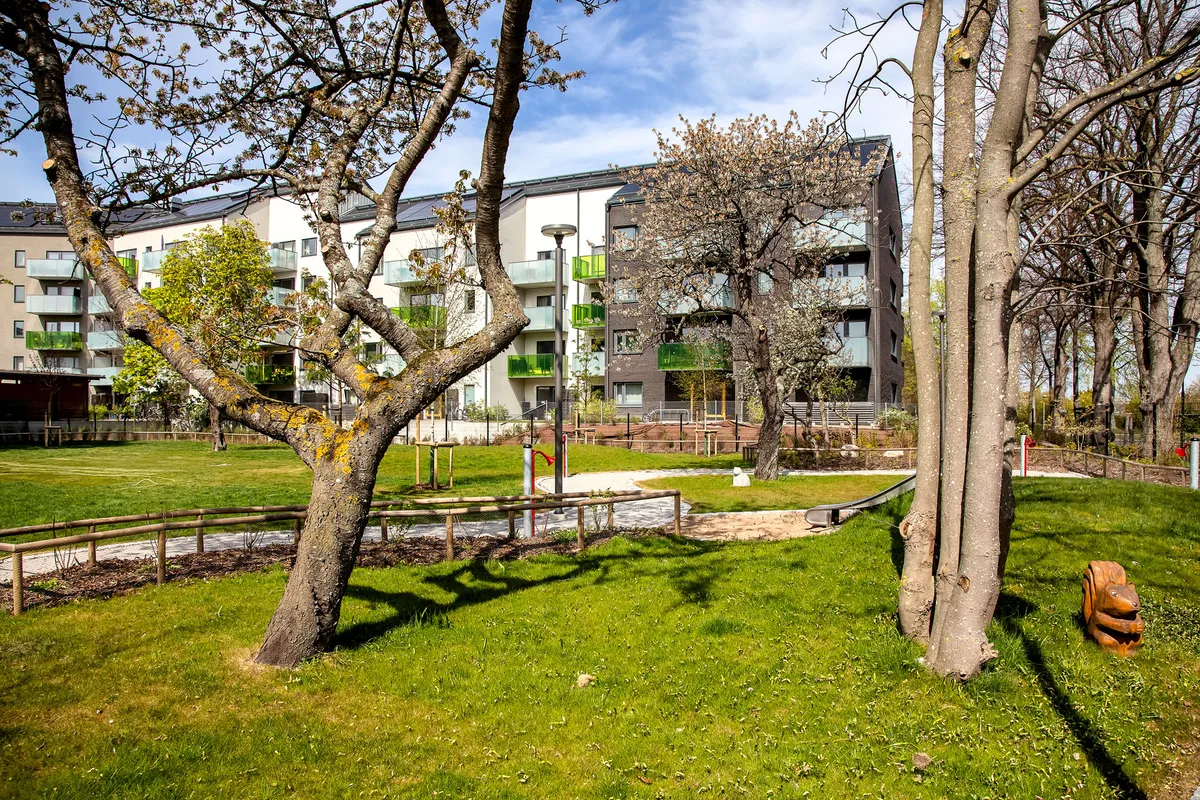 Hyreslägenhet på Limhamn i limhamn