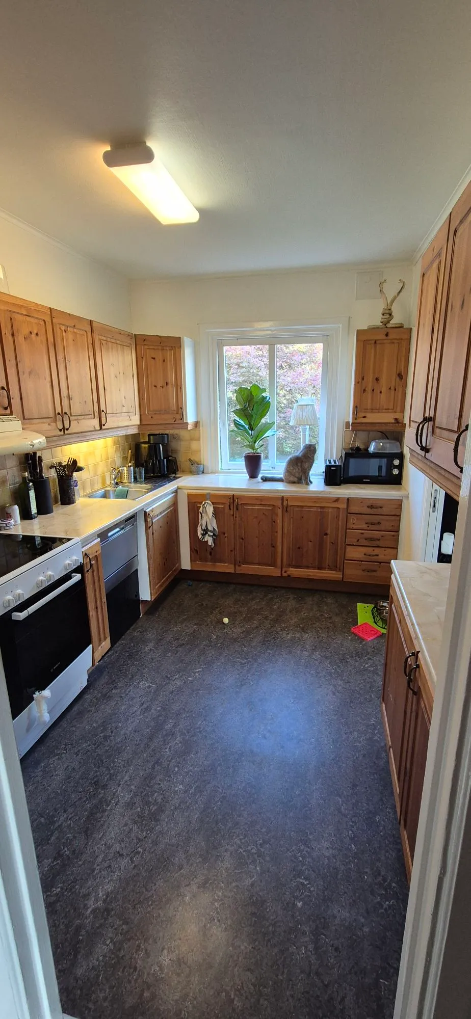 Hyreslägenhet på Borås i boras