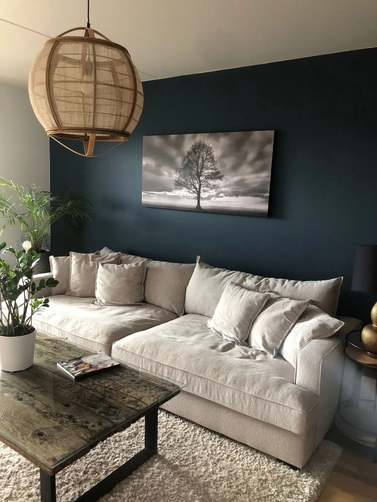 Hyreslägenhet på Malmö i malmo