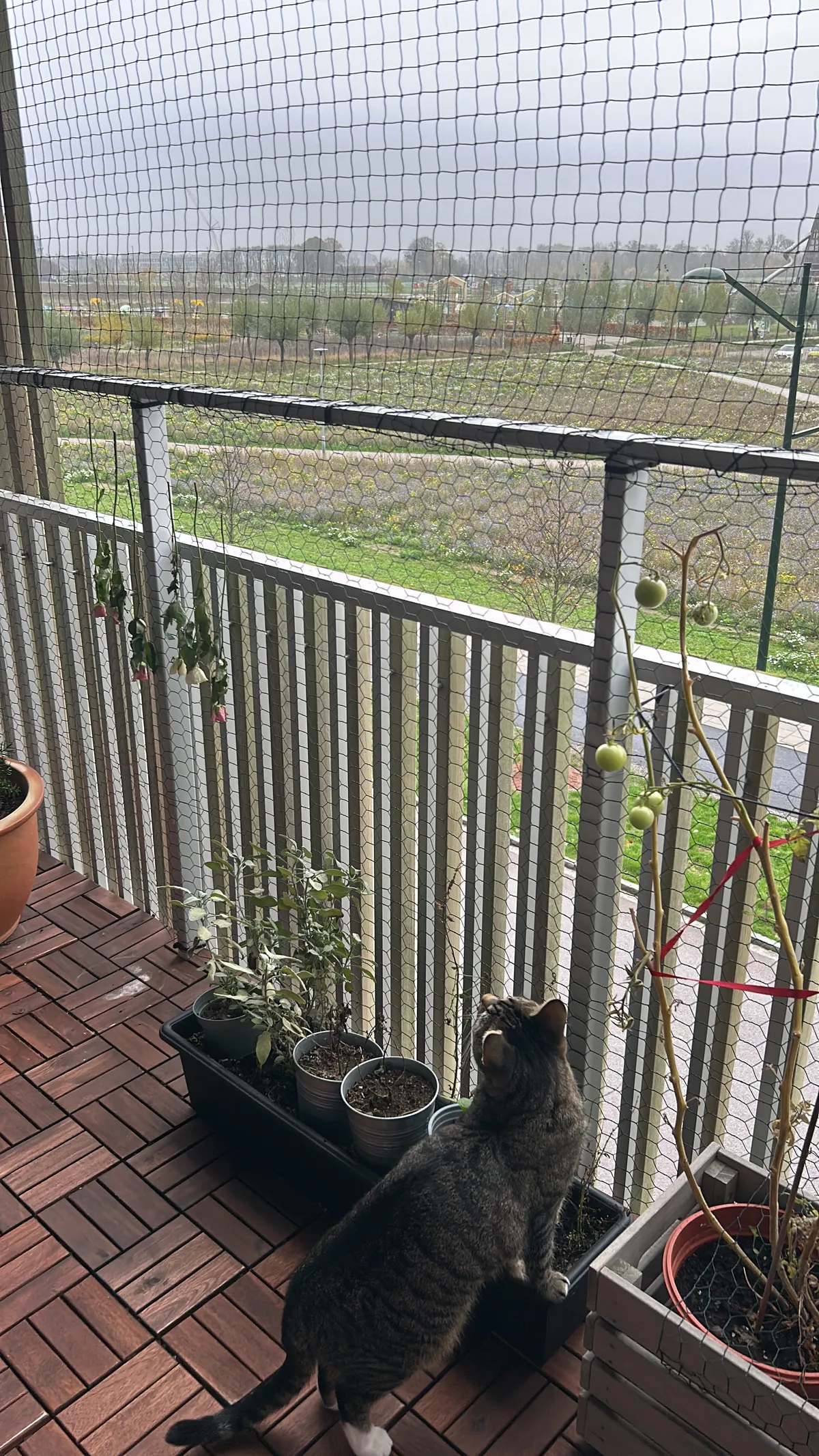 Hyreslägenhet på Malmö i malmo