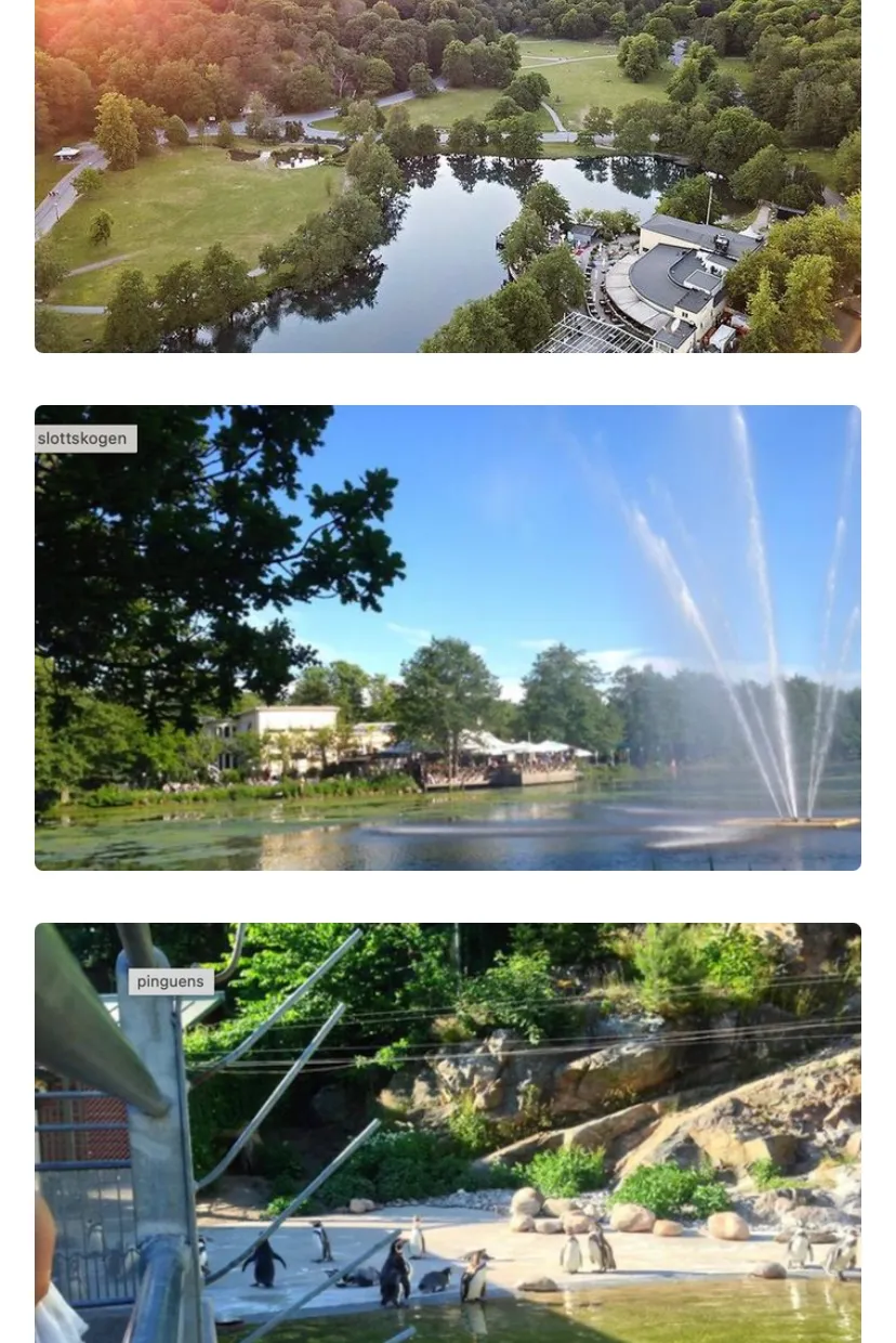 Hyresbostad på Göteborg i goteborg