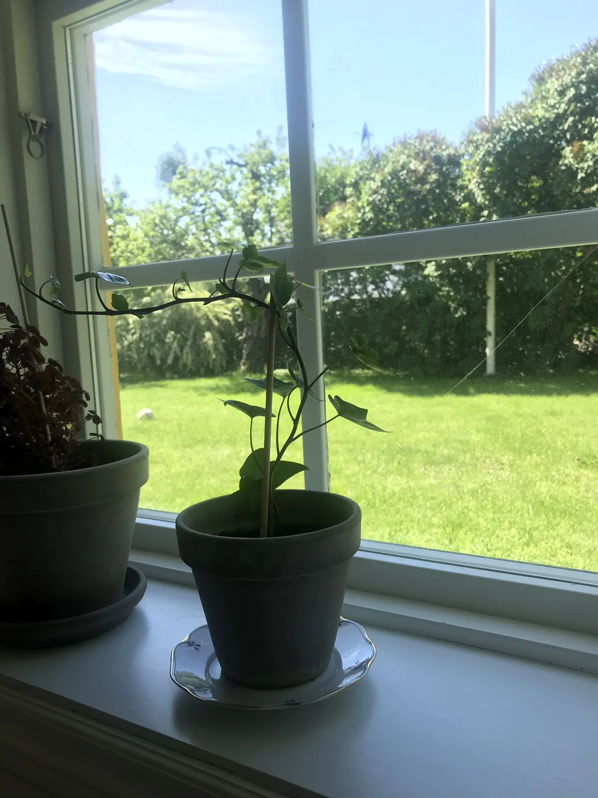 Hyreslägenhet på Västerås i vasteras