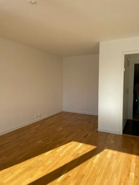 Hyreslägenhet på Olofström i olofstrom