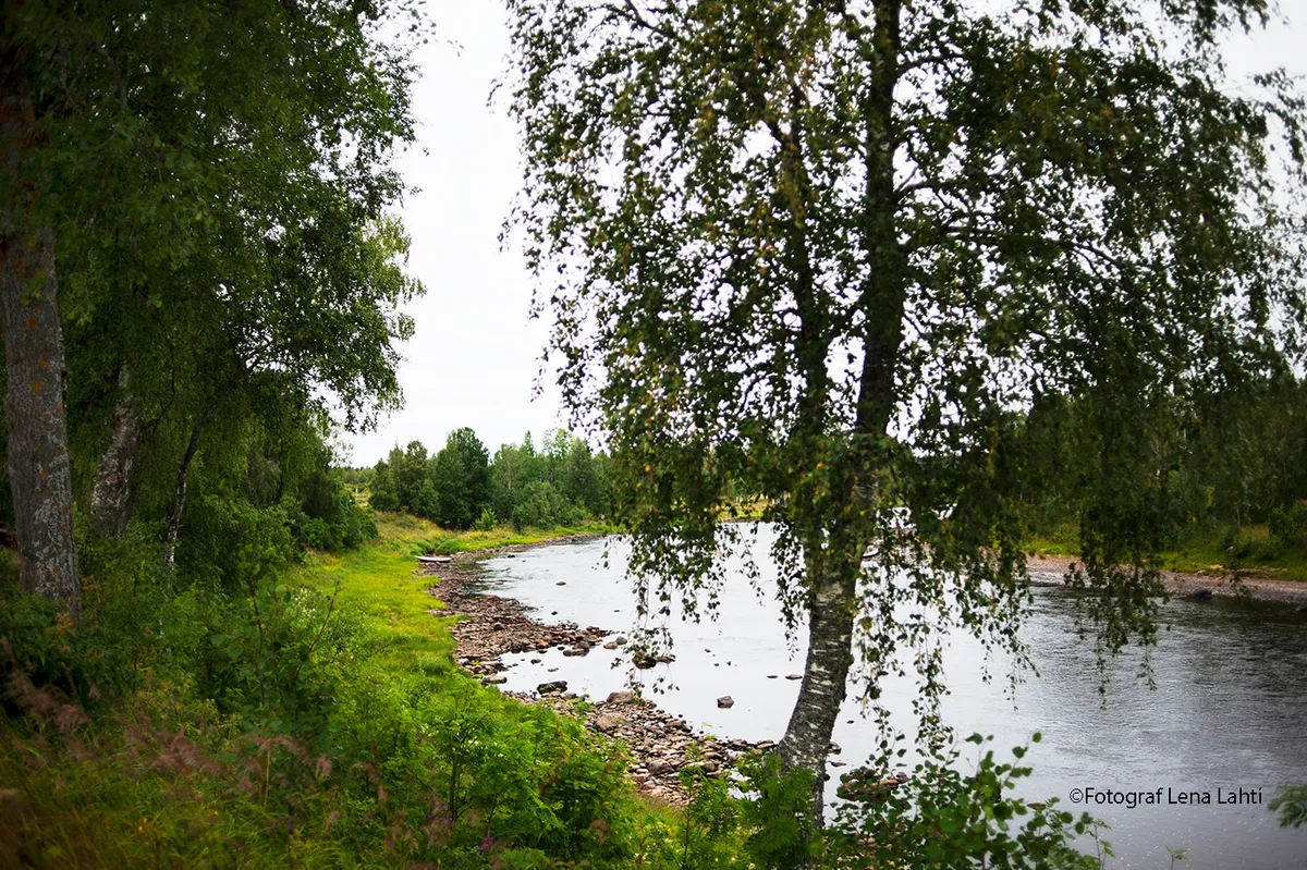 Hyreslägenhet på Pajala i pajala