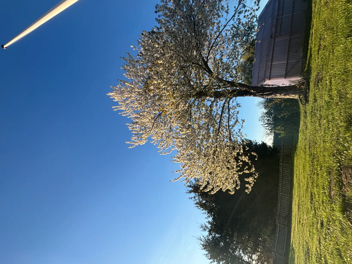 Hyresbostad på Lund i lund