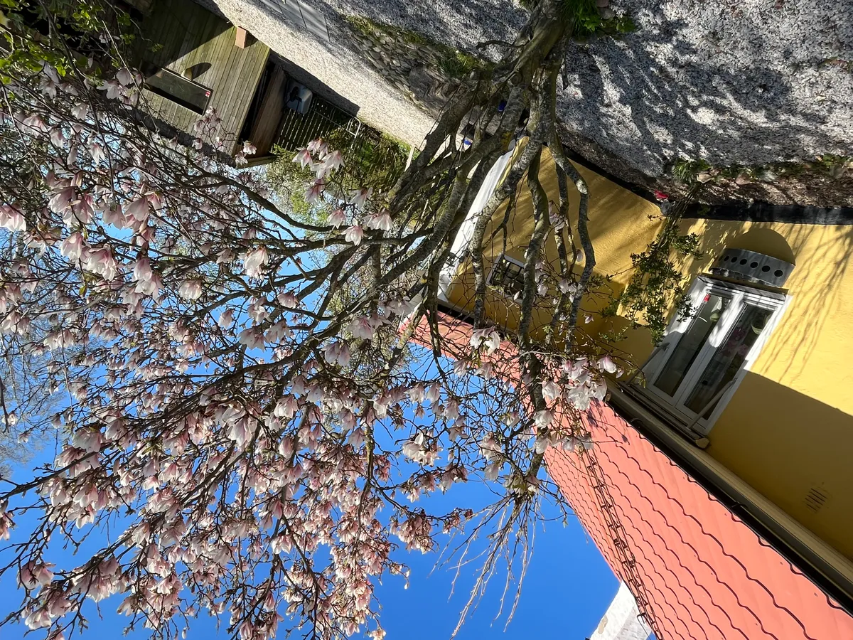 Hyresbostad på Lund i lund