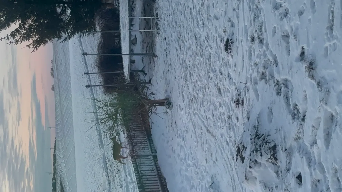 Hyresbostad på Lund i lund