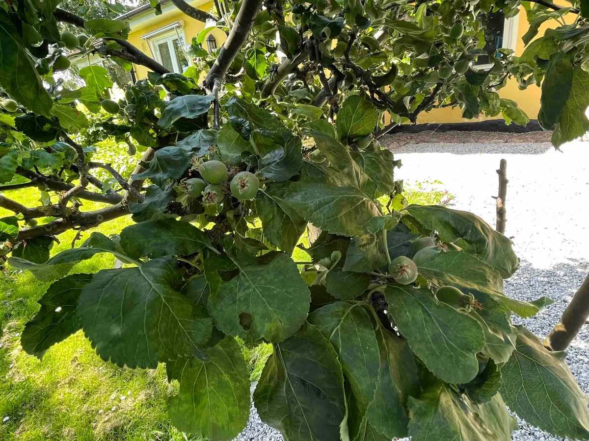 Hyresbostad på Lund i lund