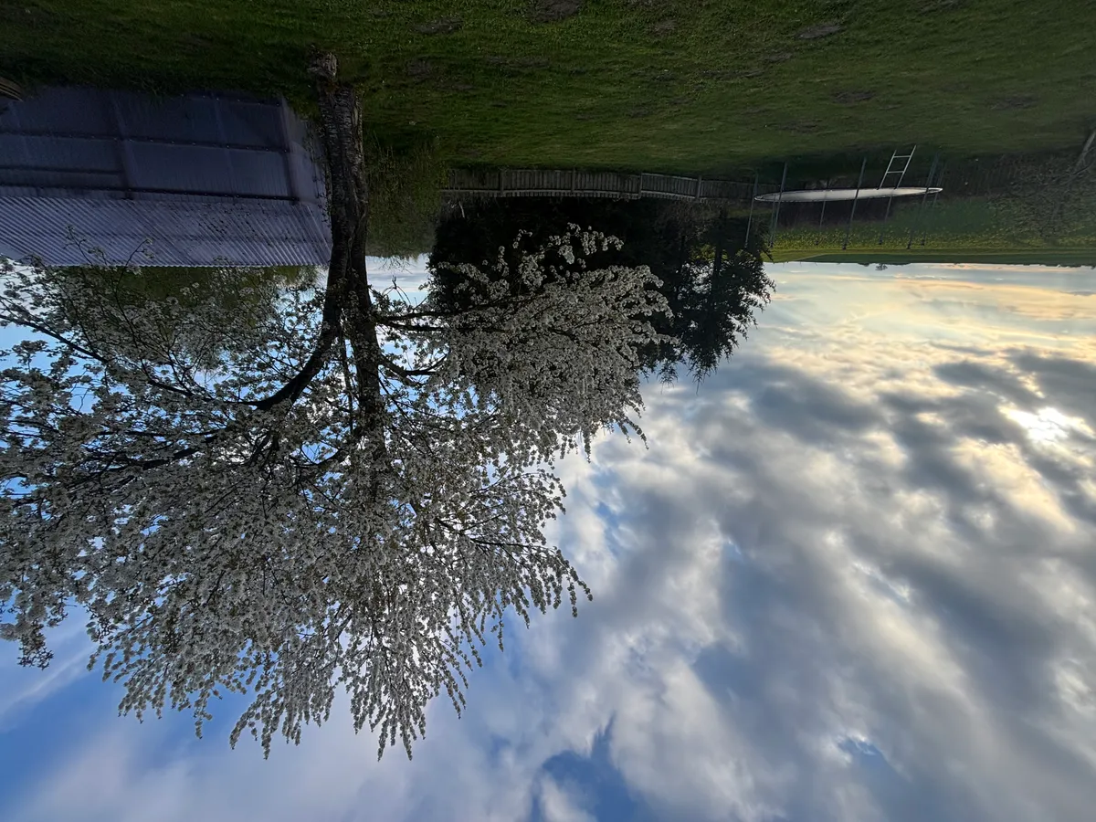 Hyresbostad på Lund i lund