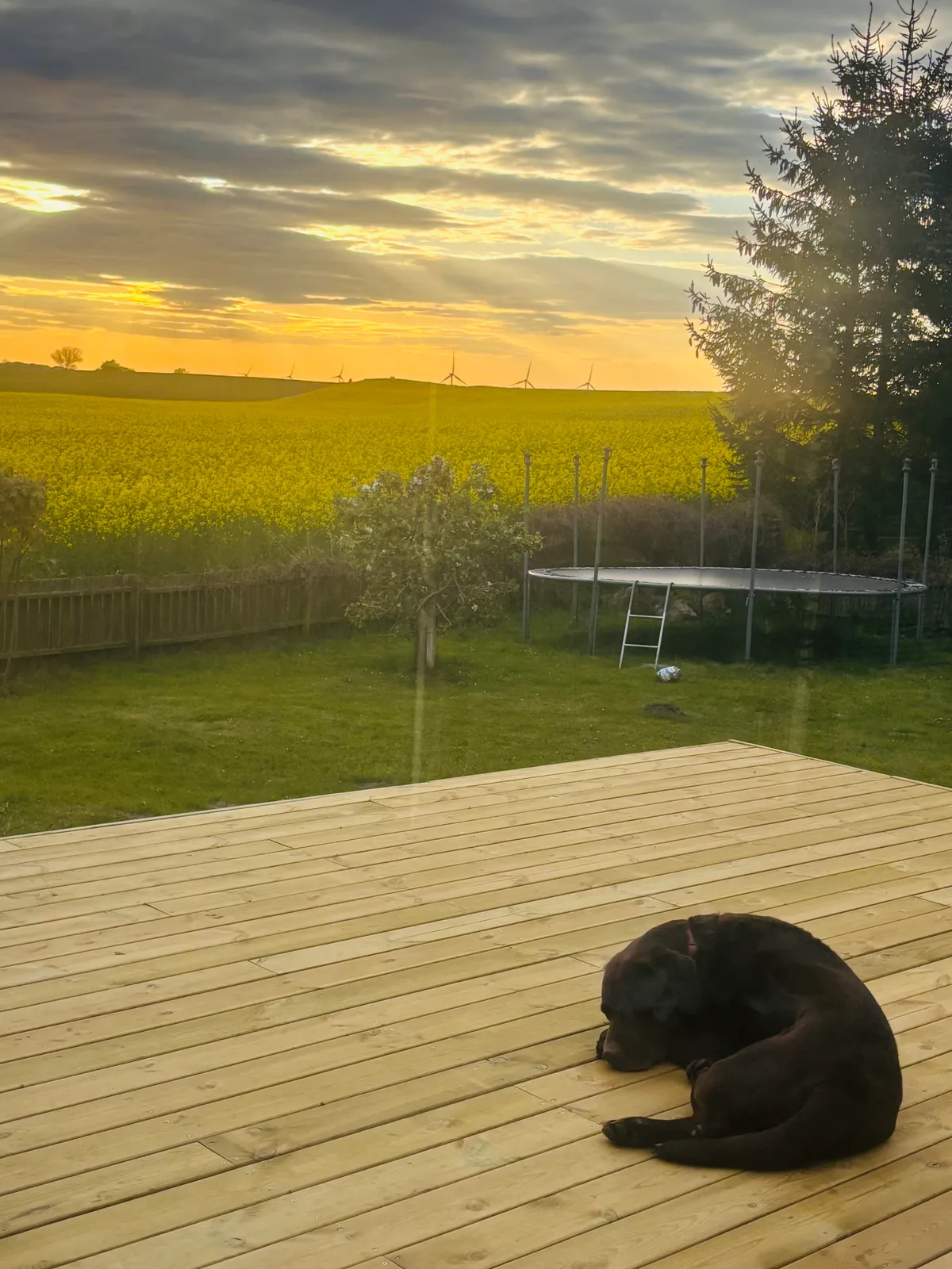 Hyresbostad på Lund i lund