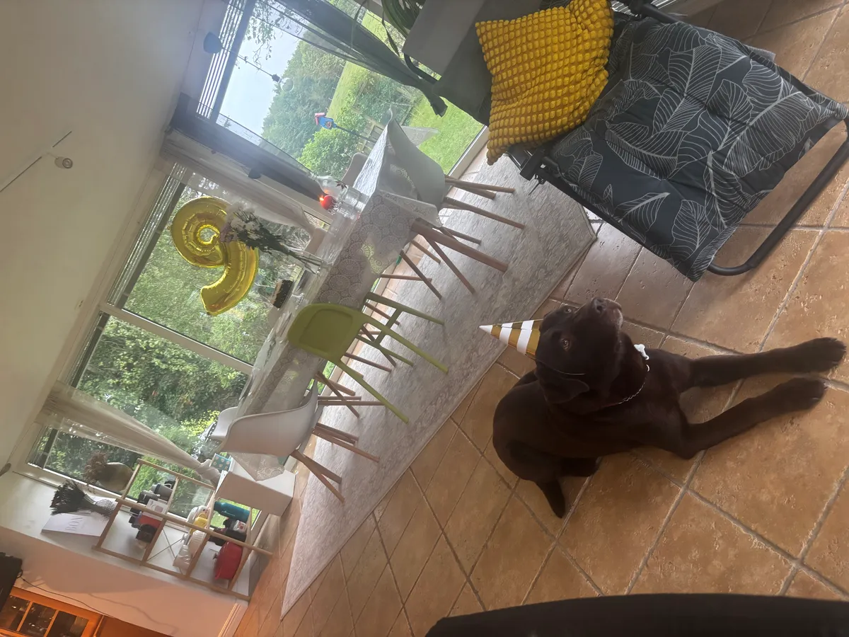 Hyresbostad på Lund i lund