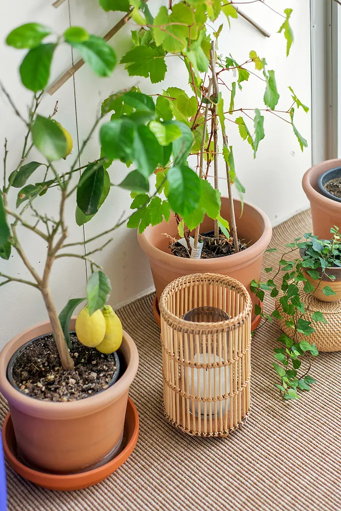 Hyreslägenhet på Täby i taby