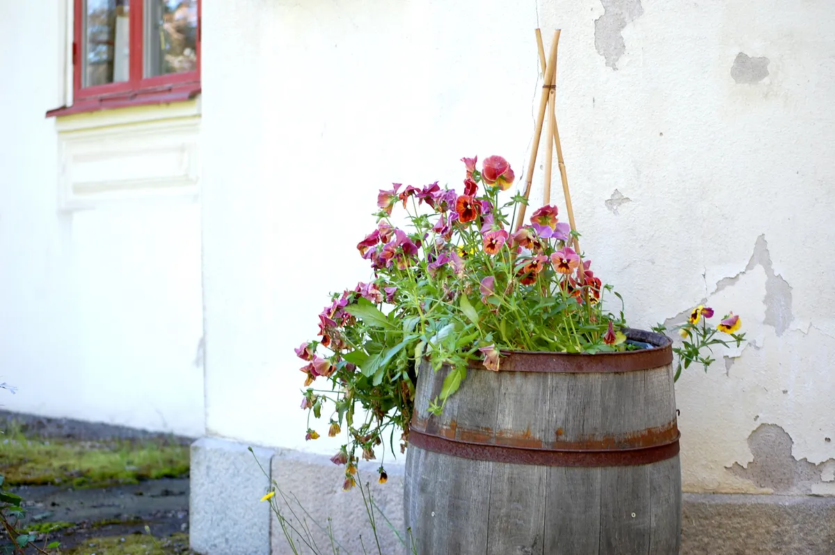 Hyreslägenhet på Kopparberg i kopparberg