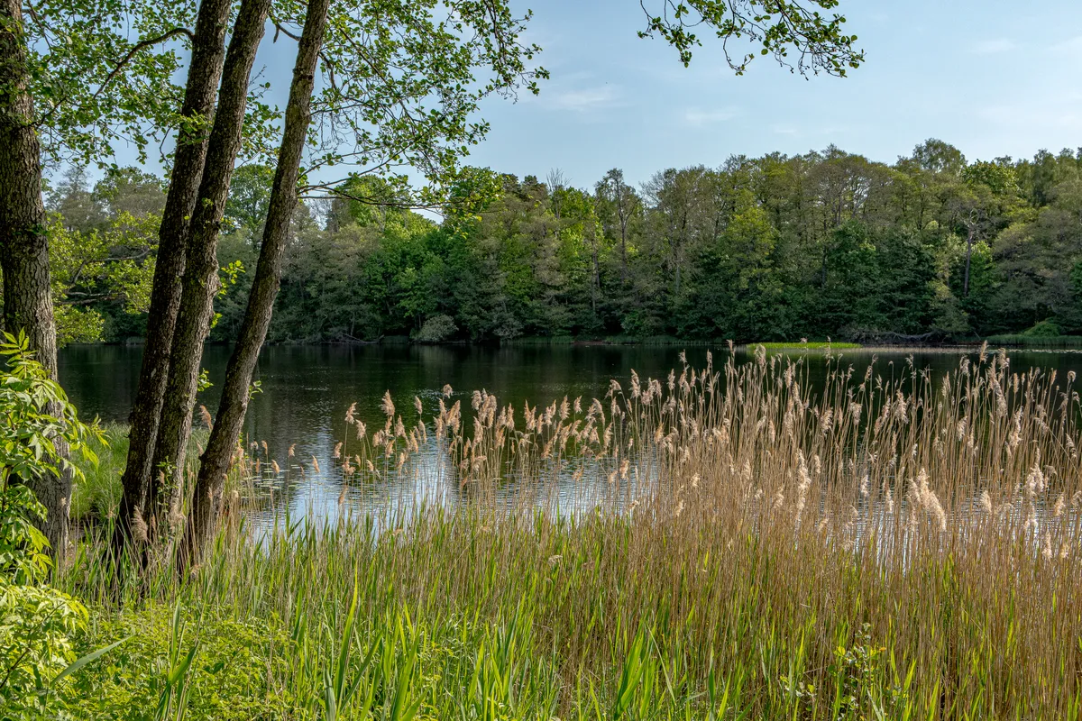 Hyreslägenhet på Halmstad i halmstad