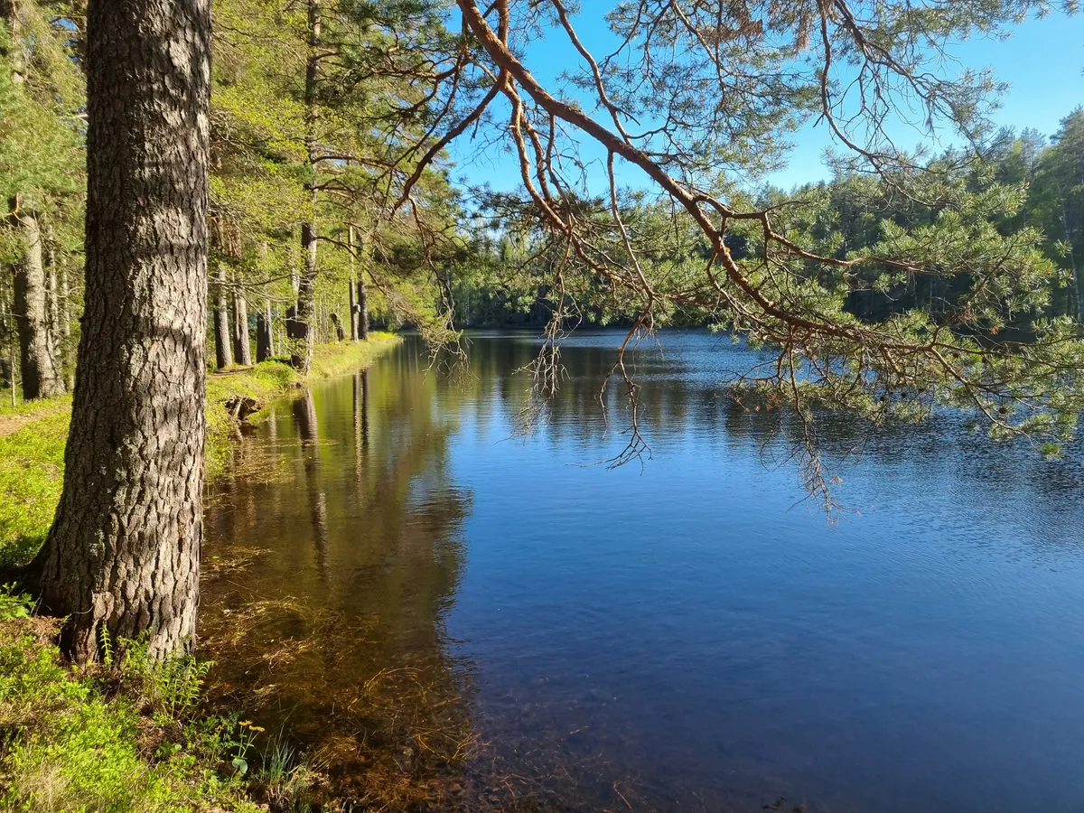 Hyreslägenhet på Hofors i hofors