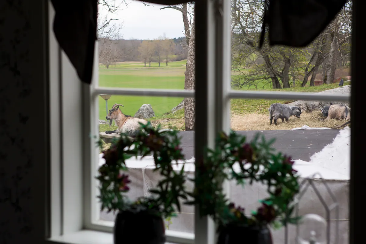 Hyreslägenhet på Sigtuna i sigtuna