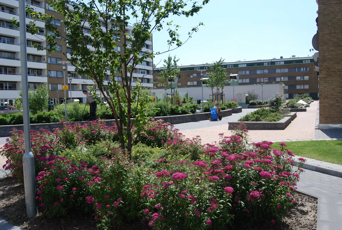 Hyreslägenhet på Malmö i malmo