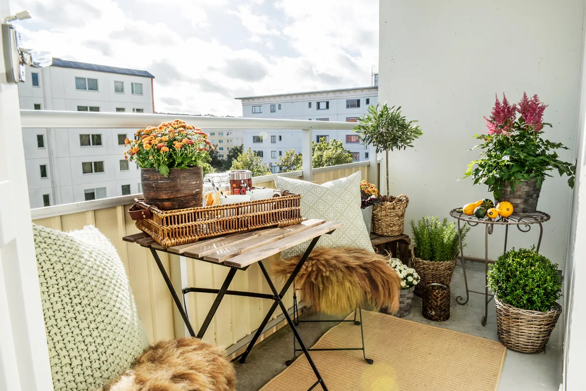 Hyreslägenhet på Helsingborg i helsingborg