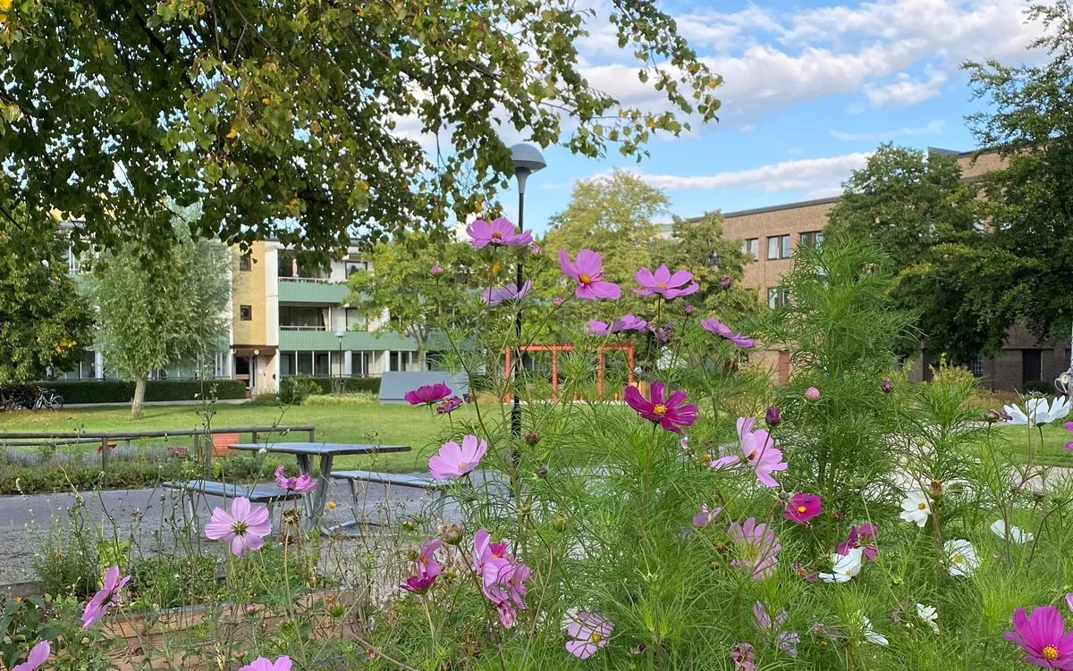 Hyreslägenhet på Malmö i malmo