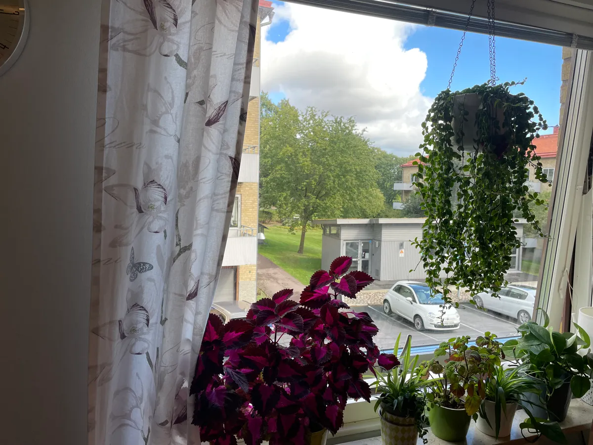Hyreslägenhet på Göteborg i goteborg