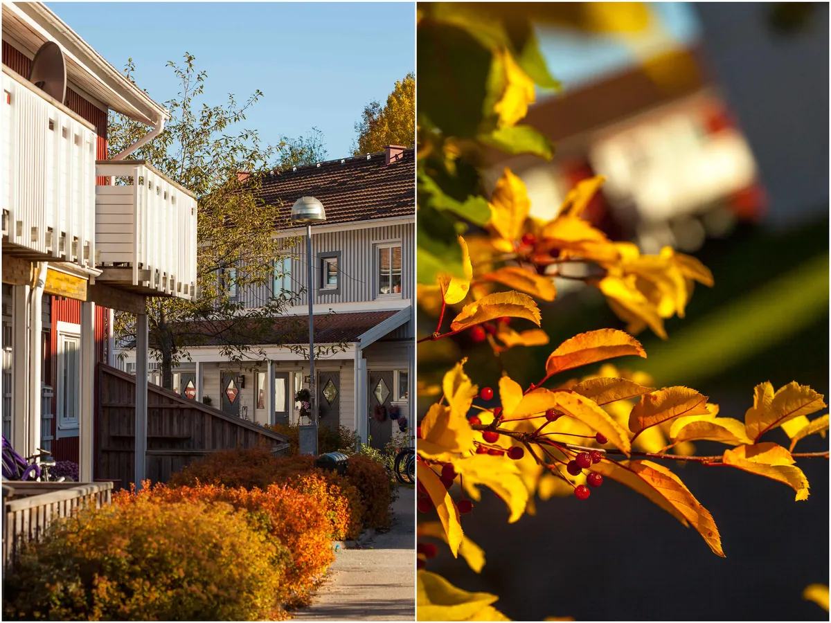 Hyreslägenhet på Uddevalla i uddevalla