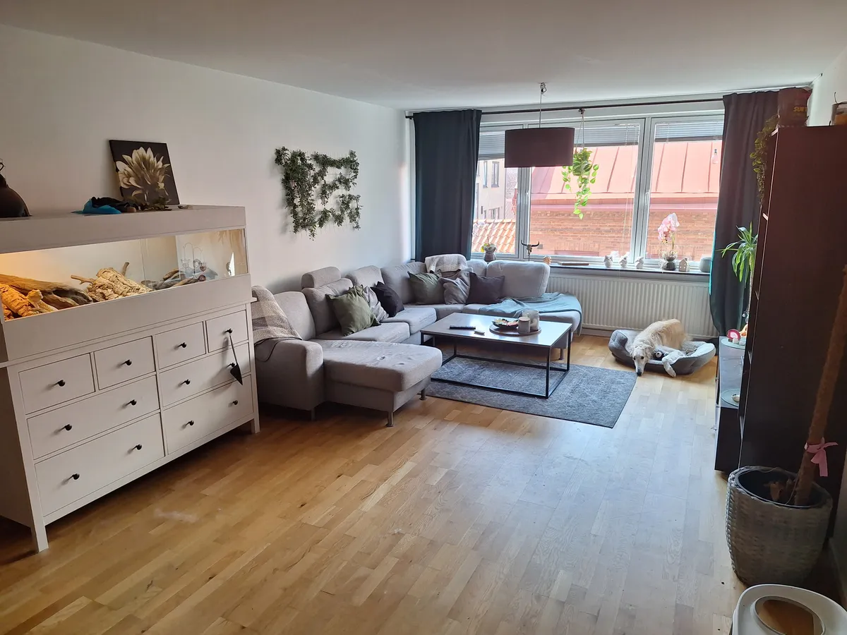 Hyreslägenhet på Halmstad i halmstad