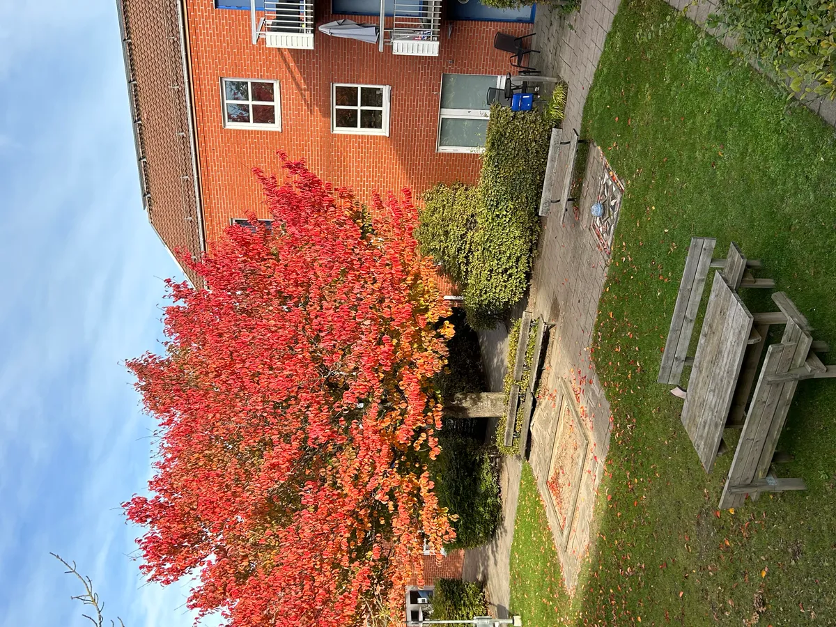 Hyreslägenhet på Staffanstorp i staffanstorp